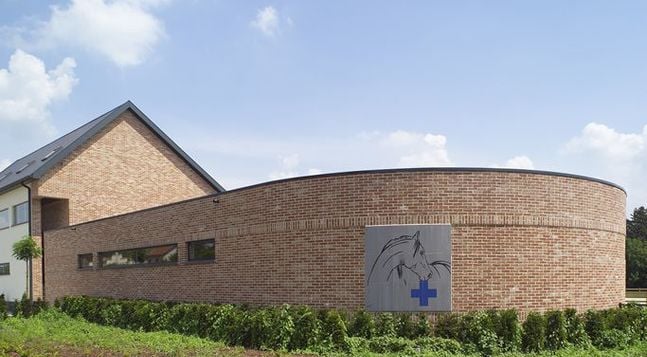 vandersanden